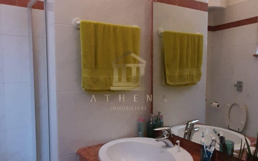 ATHL111 AFFITTASI AMPIO MONOLOCALE IN PIAZZA BOTTA PAVIA