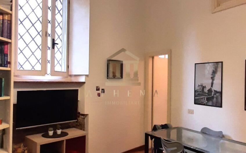 ATHL111 AFFITTASI AMPIO MONOLOCALE IN PIAZZA BOTTA PAVIA